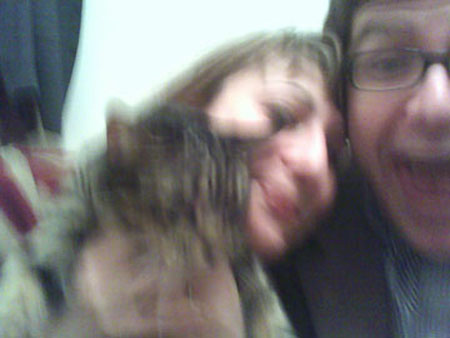 cat3