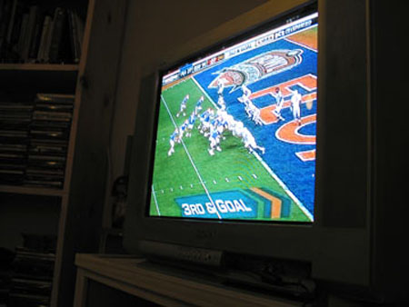 gators
