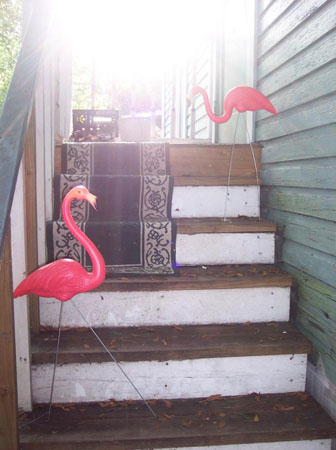 jewflamingos