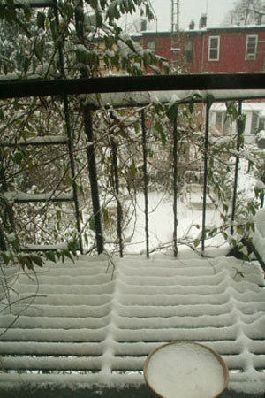 snow_kitchen_window