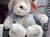 drbear