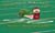 gator-buckeyes