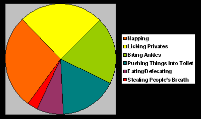 My Cat Chart